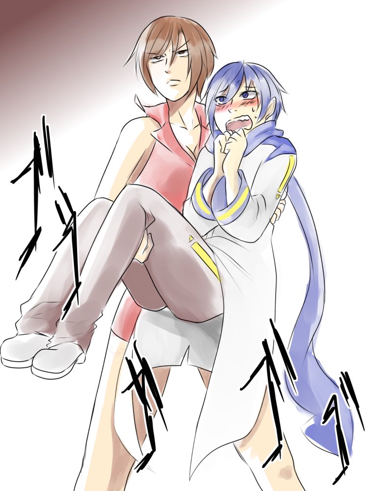 ワイの特に好きなMEIKOとKAITOの関係性、概ねこんな感じ
あくまで自分で描く際の話なので他人様の作品はどんな関係性でも美味しくいただきますがね😙