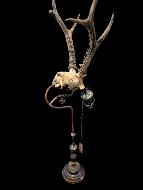 <a href="/mantamu/">マンタム（田村秋彦）</a> 眼球は脳の一部である
眼球は突出した脳の一部である
これは捕獲された単眼獣の構造を示す標本である。

マンタム 【脳室と眼球】

shop.sipka.jp/products/detai…