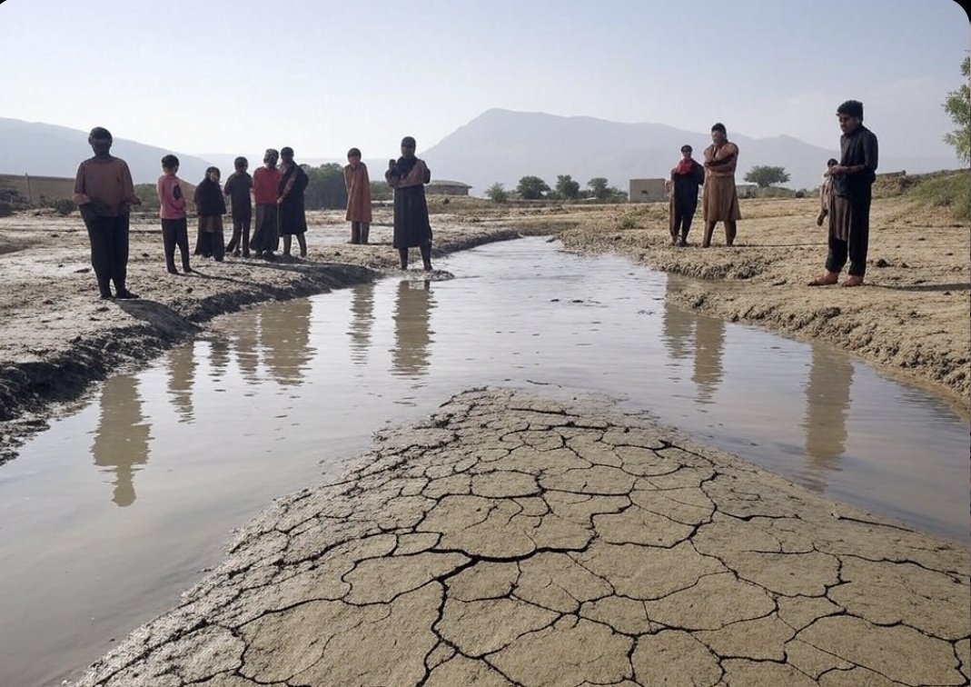 پاڪستان جي عيد قرباني 
پنجابي پٺاڻ خريداري ۽ قرباني ۾ مصروف 
سنڌي درياءُ ۽ ڌرتيءَ بچائڻ ۾ مصروف 
بلوچ لاش کڻڻ ۾ مصروف 
پاڻ ئي ڏسو عيد ڪنھن جي آھي 
#NoMoreCanalsOnindus