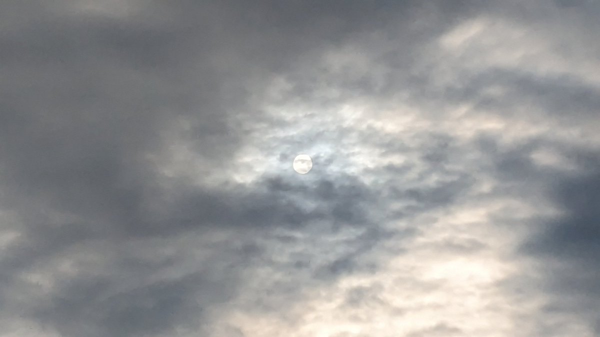 Yt8sGFpx5LjEumR's tweet image. わかっていたが
太陽も丸い