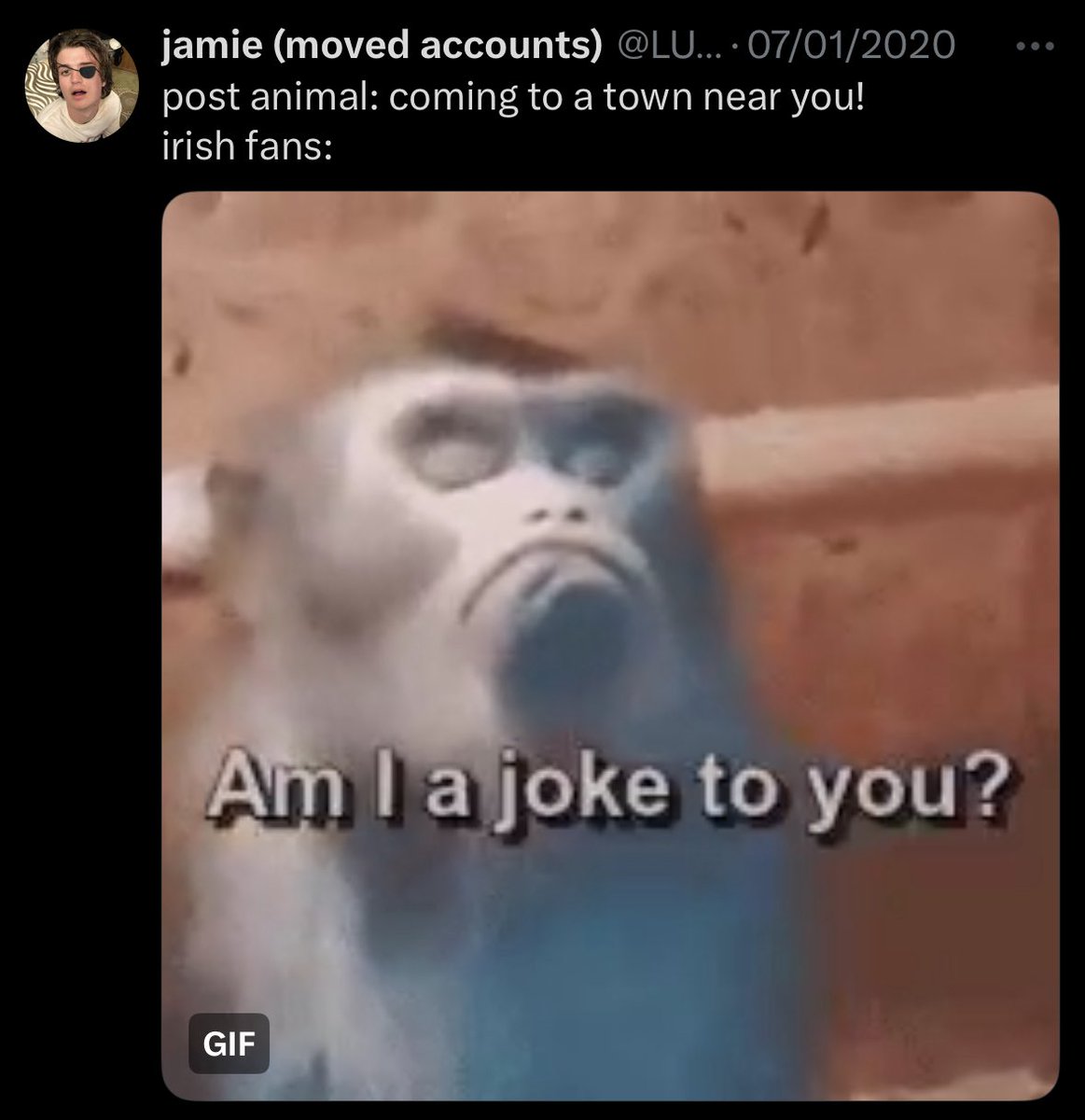 jimmy tweet media