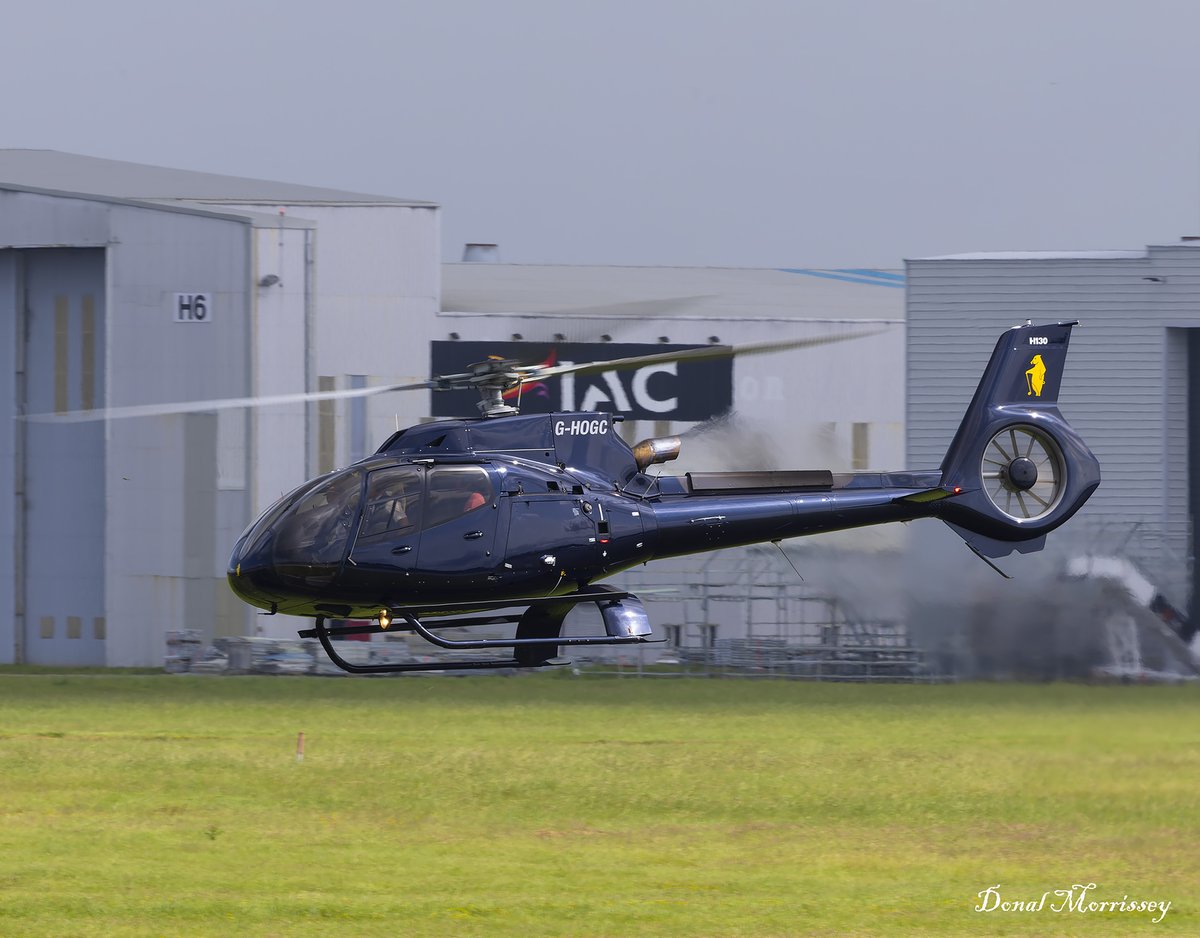 birrlad's tweet photo. Hogs Head Transportation Ltd. @Airbus EC-130 G-HOGB & G-HOGC @ShannonAirport on Saturday.
#avgeek #aviation #airbus #helicopter #ShannonAirport #Rotor #HogsHead https://t.co/ZXtzXv1Dr4