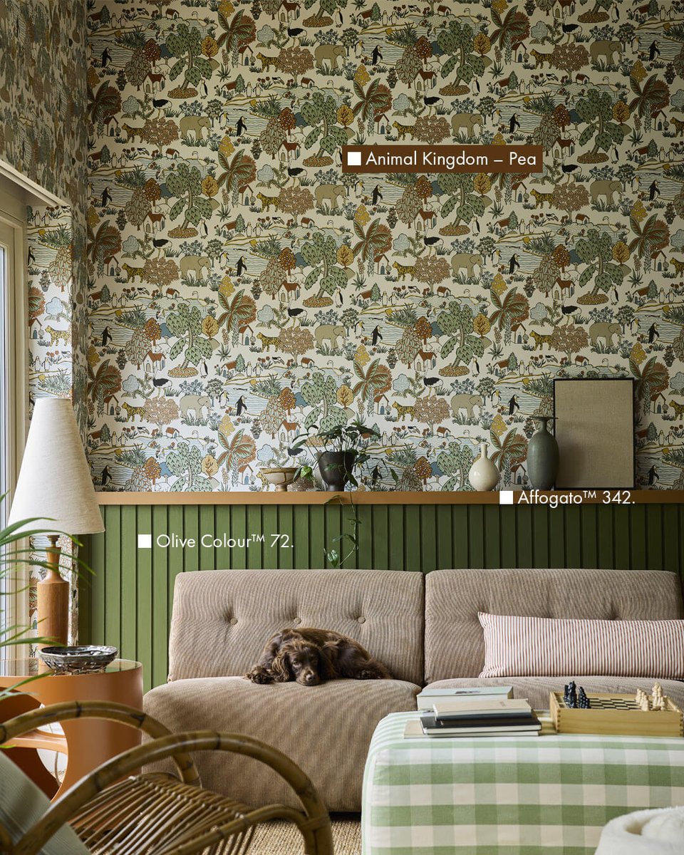 AshbyDecCentre's tweet image. #LittleGreene #Paints in stock, tinted to order in #Ashby Decorator Centre.

#Interior &amp;amp; #Exterior paints, highest quality.

Order in store, over the phone or online. Local delivery available

#English #Heritage #Colours Brush out boards &amp;amp; advice in store.

#Ashbydelazouch #DIY