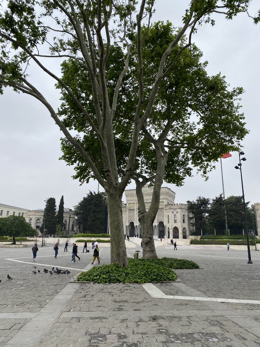 Güzel İstanbul tweet media