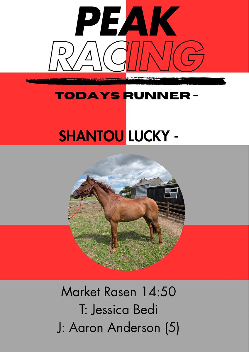 Shantou Lucky runs at <a href="/MarketRasenRace/">Market Rasen Racecourse</a> today at 2.50pm. Aaron Anderson takes the ride and claims 5lbs. Good luck to all owners🩶❤️