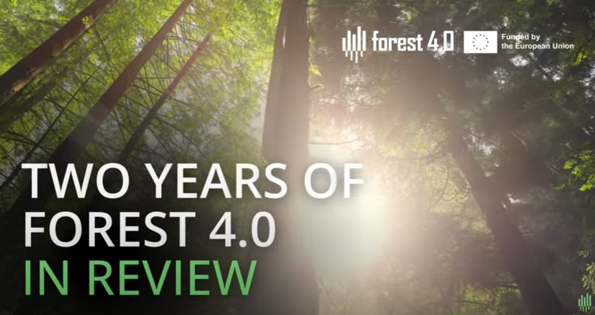 forest_04_'s tweet photo. 👏 Forest 4.0 turned 2! 👏 

What a fruitful two years of collaboration and co-creation it has been — from launching our Centre of Excellence legal entity to strengthening ties between our teams for joint actions.

🎥 Watch the full video here:
https://t.co/SCjTcpLYrg https://t.co/X6hzAnVMWY