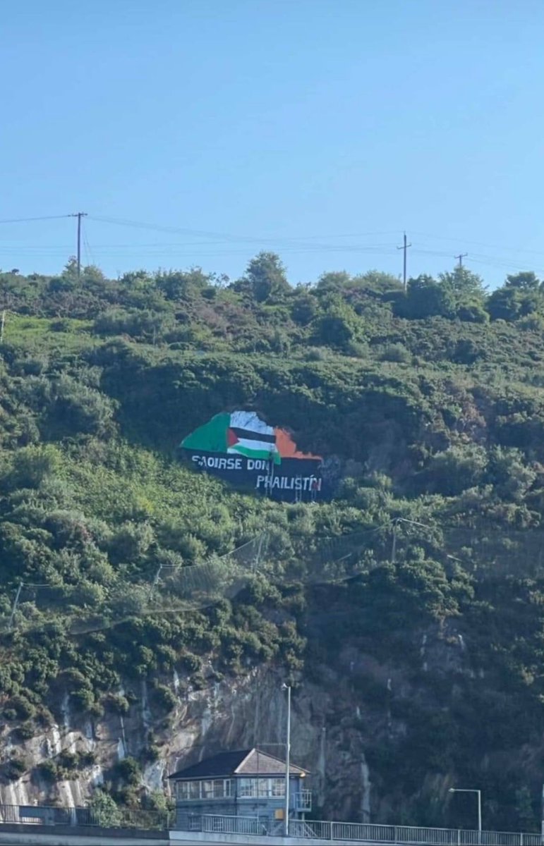 TheFlareNews's tweet photo. Leftist have painted over an Irish flag. 

It’s a real representation of what’s happening in Ireland at the moment. 

Leftist are erasing Ireland and replacing it with their new pets. https://t.co/j2V4dX7pjw