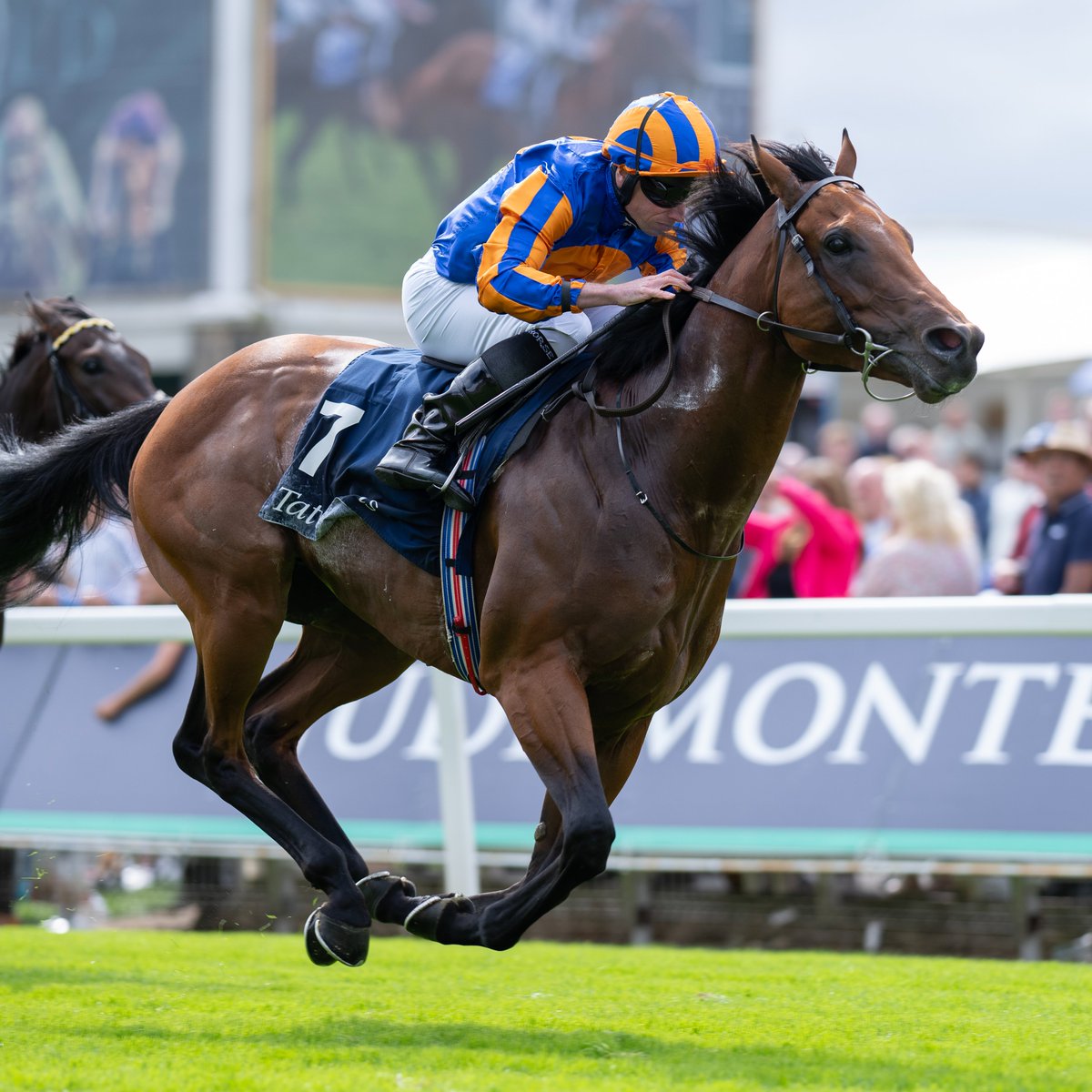 The Lion In Winter is one of 18 confirmations for the Betfred Derby, headed by favourite Delacroix

Luther, Opportunity, Purview, Rogue Millions, Shackleton, Too Soon and Wimbledon Hawkeye were not declared