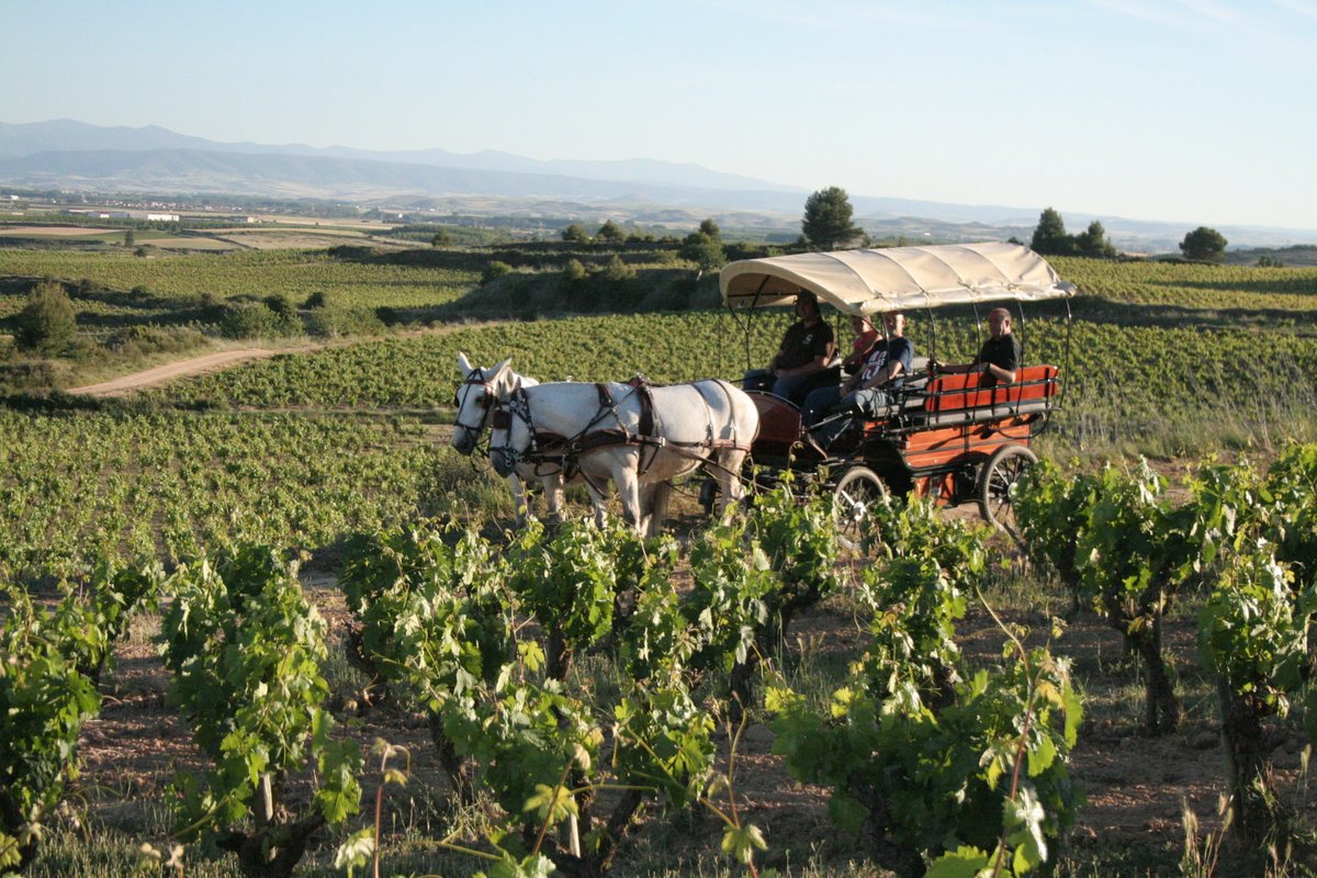 🌿 Junio ya está aquí y en la Ruta del Vino Rioja Alta se nota 🎉 Desde las fiestas de San Bernabé en Logroño, pasando por el Día de La Rioja y acabando el mes con la Batalla del Vino de Haro, junio está lleno de vida y tradición. Reserva tu escapada rutasdelvinorioja.com/junio-en-rioja…