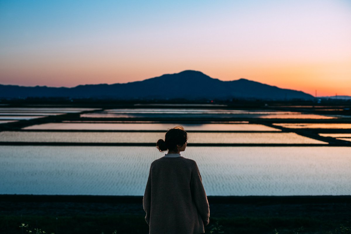 綺麗な水鏡の時期もそろそろ終わり、、、3、4ヶ月後には収穫の時期かぁ🌾
#tokyocameraclub
