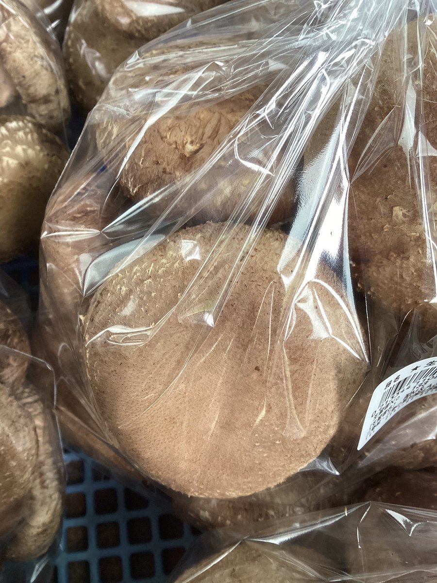 米がないなら#しいたけを食べればいいじゃない

#令和のエエじゃないか