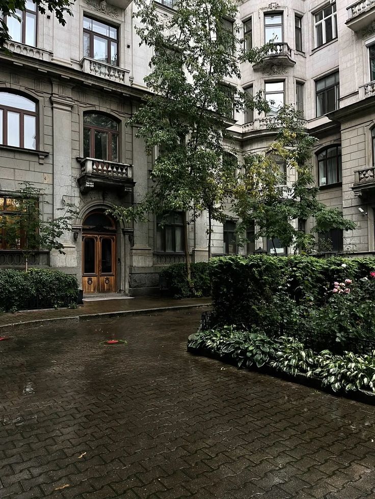 greenvibe's tweet image. nature