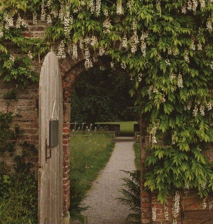 greenvibe's tweet image. nature