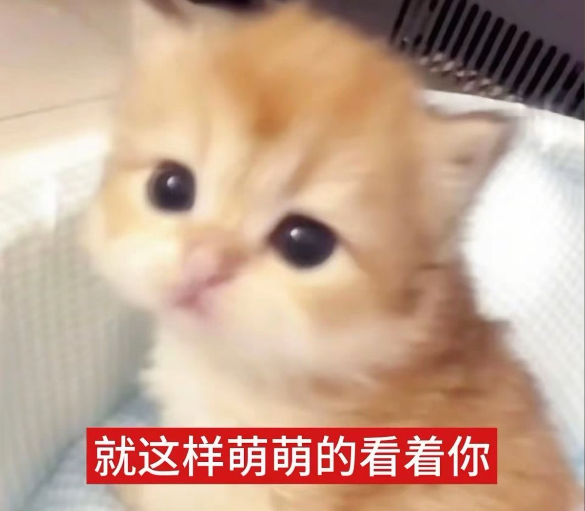 bltca147269's tweet photo. @recsetuaiano 妈妈 https://t.co/g1hvQUw7NA