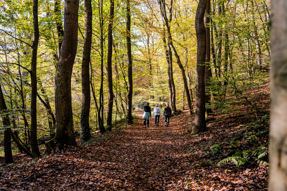Provincie Gelderland tweet media