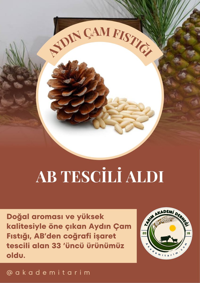 Tarım Akademi Derneği (@tarimakademider) on Twitter photo Ülkemizin 33’üncü AB’den tescil alan ürünü Aydın Çam Fıstığı oldu.
<a href="/TCTarim/">T.C. Tarım ve Orman Bakanlığı</a>
<a href="/AydinValiligi/">T.C. Aydın Valiliği</a> Ülkemizin 33’üncü AB’den tescil alan ürünü Aydın Çam Fıstığı oldu.
<a href="/TCTarim/">T.C. Tarım ve Orman Bakanlığı</a>
<a href="/AydinValiligi/">T.C. Aydın Valiliği</a>