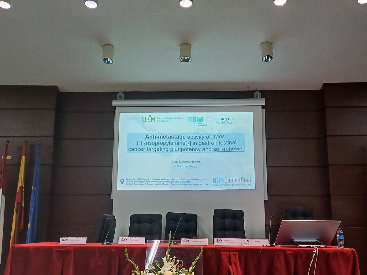 BioCiudadReal tweet media