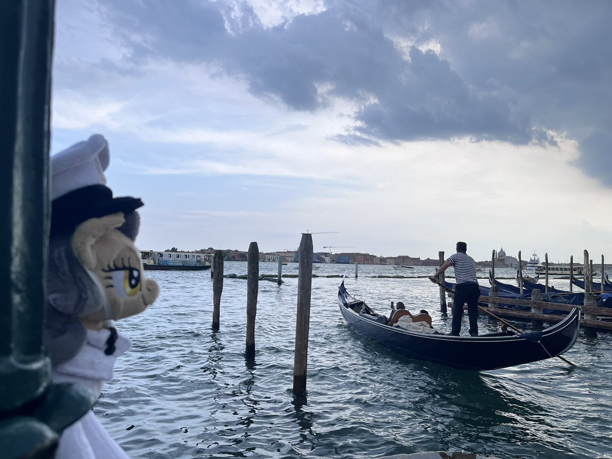 Born to sail