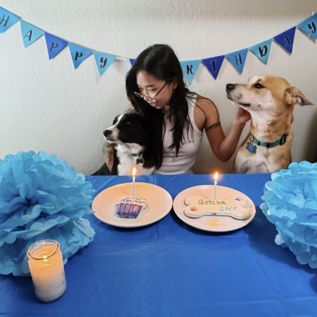 CivicThread's tweet image. T-MINUS 2 DAYS ‘til our fundraiser! Want to support? Donate here: tinyurl.com/DonateCivicThr… 🎉 

Meet Dana Aika Miranda—former Project Assistant turned Project Coordinator turned Project Manager. They are also a researcher, climber, potter, napper, and proud dog parent!