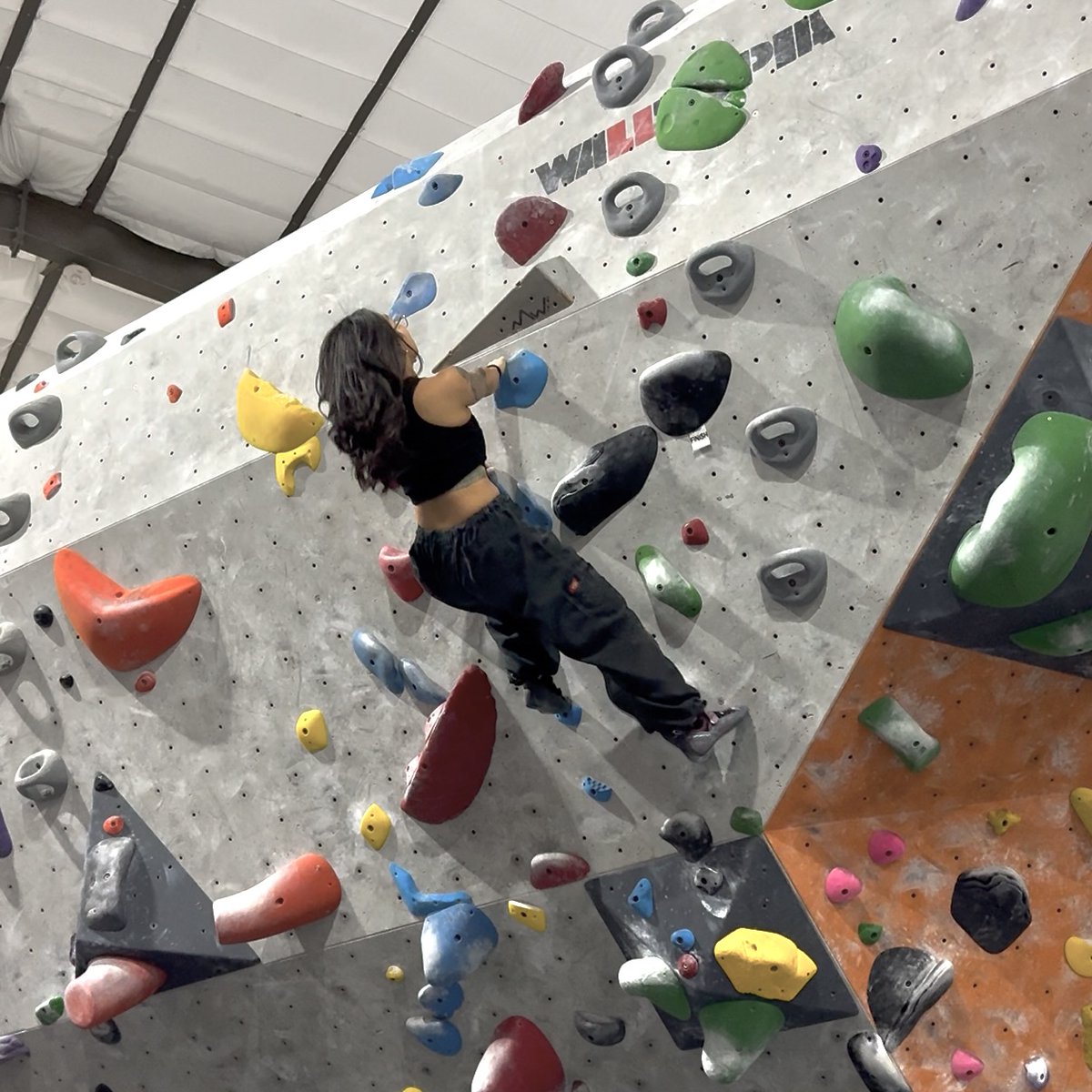 CivicThread's tweet image. T-MINUS 2 DAYS ‘til our fundraiser! Want to support? Donate here: tinyurl.com/DonateCivicThr… 🎉 

Meet Dana Aika Miranda—former Project Assistant turned Project Coordinator turned Project Manager. They are also a researcher, climber, potter, napper, and proud dog parent!