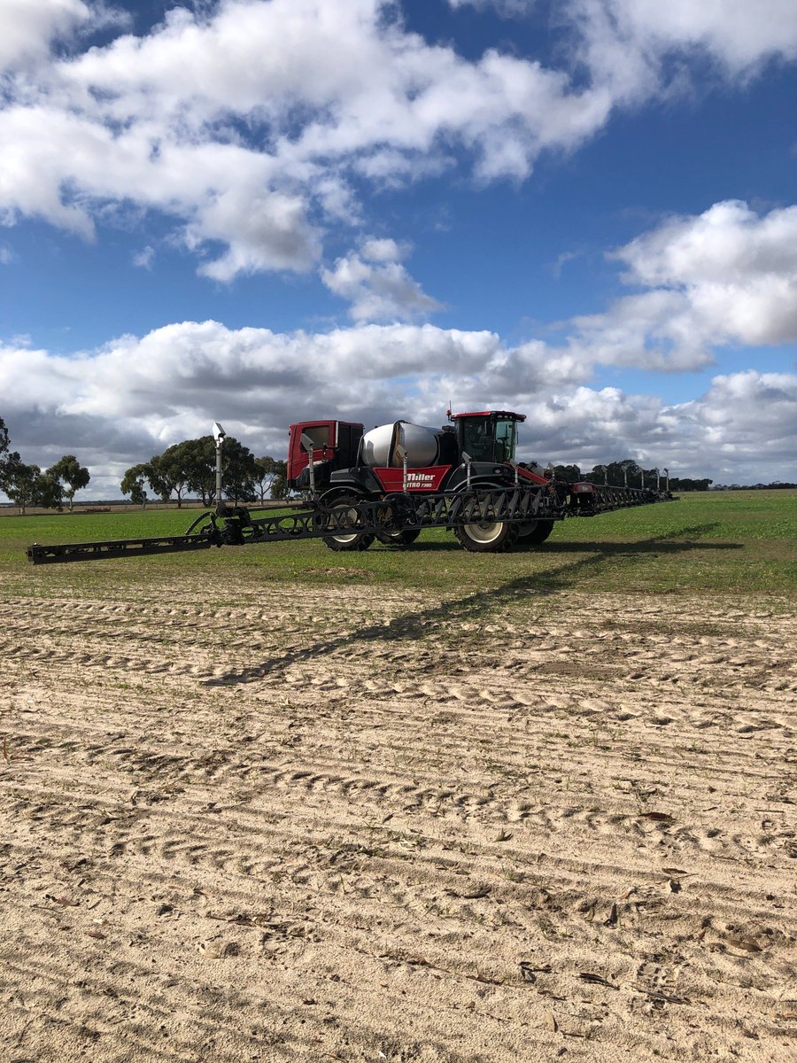 Chances are, if you Google "Bilberry" you will see heaps of results for the fruit and health supplements. Check out our bio for a link to our website which has everything you need to understand our solution.