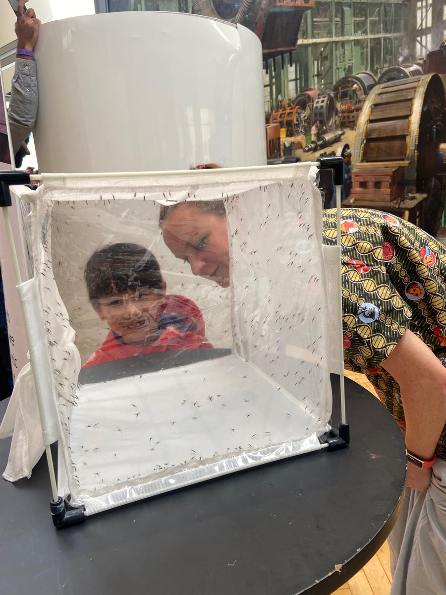 Target Malaria (@targetmalaria) on Twitter photo We are back at the Great Exhibition Road Festival
<a href="/ExRdFestival/">Great Exhibition Road Festival</a> this weekend, 7-8 June, 12-6pm!
Located in the Medical Futures Zone, you will be able to play #TargetMalariaTheGame, meet some mosquitoes, listen to the "Swarm" sonification and play our card game🤩
See you We are back at the Great Exhibition Road Festival
<a href="/ExRdFestival/">Great Exhibition Road Festival</a> this weekend, 7-8 June, 12-6pm!
Located in the Medical Futures Zone, you will be able to play #TargetMalariaTheGame, meet some mosquitoes, listen to the "Swarm" sonification and play our card game🤩
See you