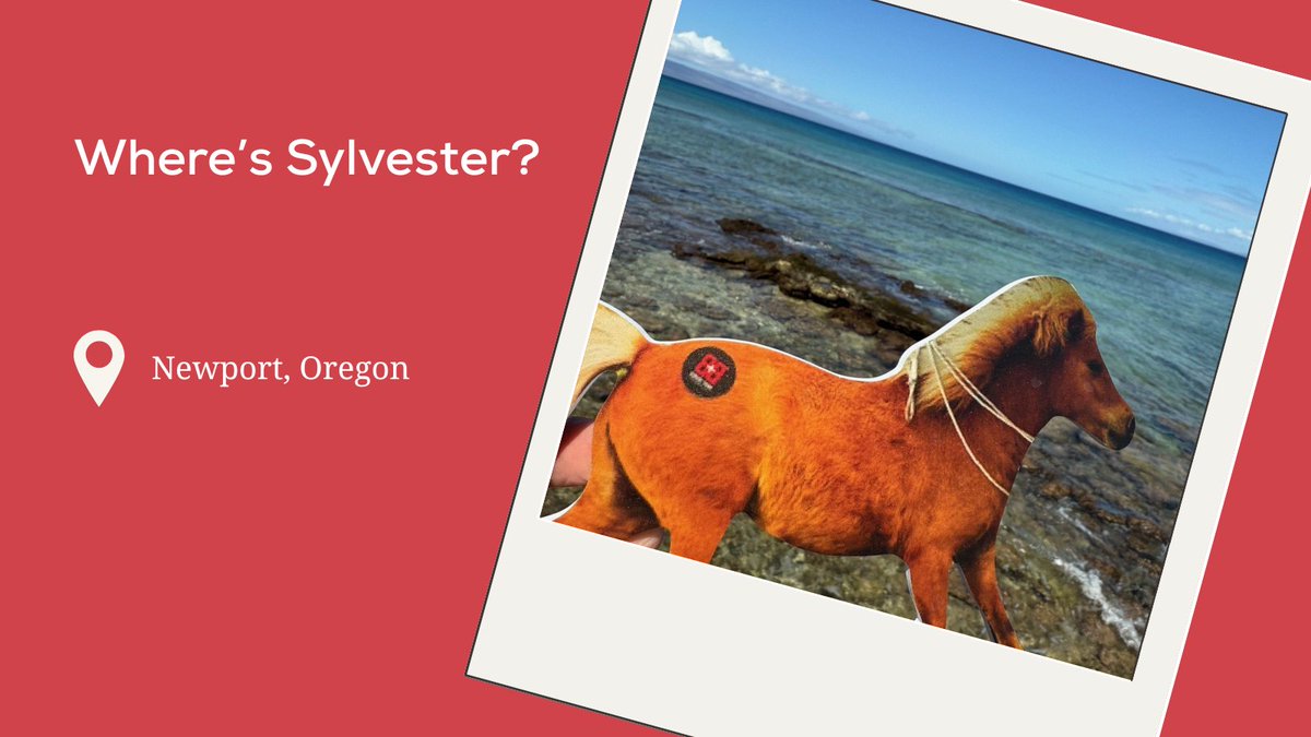 B&B Print Source tweet media