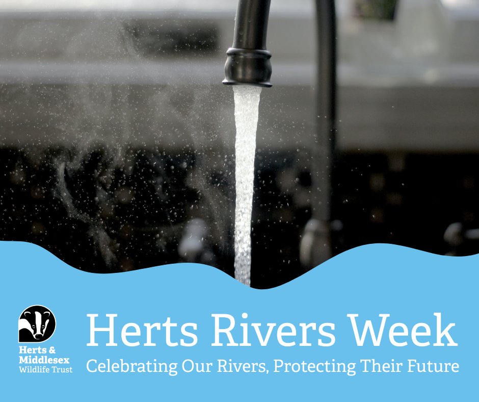Small changes at home = a big difference for nature.

Turn off the tap, fix that drip, shorten your shower — our rivers will thank you!

👉 Learn more: hertswildlifetrust.org.uk/actions/how-co… 

#SaveWater #HertsRiversWeek