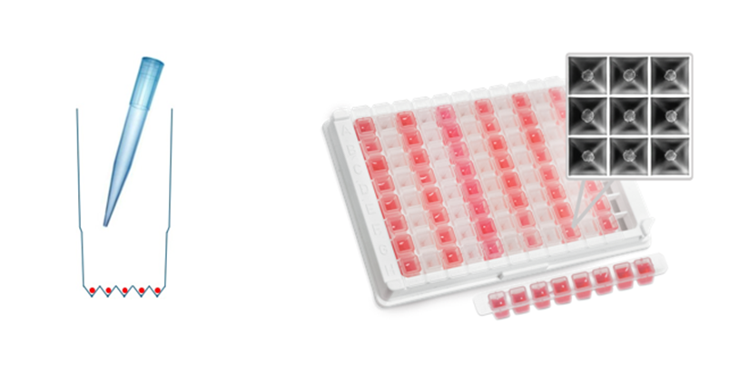 KDBIO_SAS's tweet photo. Easily generate, maintain and image 25 spheroids in each well of this new spheroid plate.  https://t.co/xAPvcMCeax https://t.co/20fNV7FH67