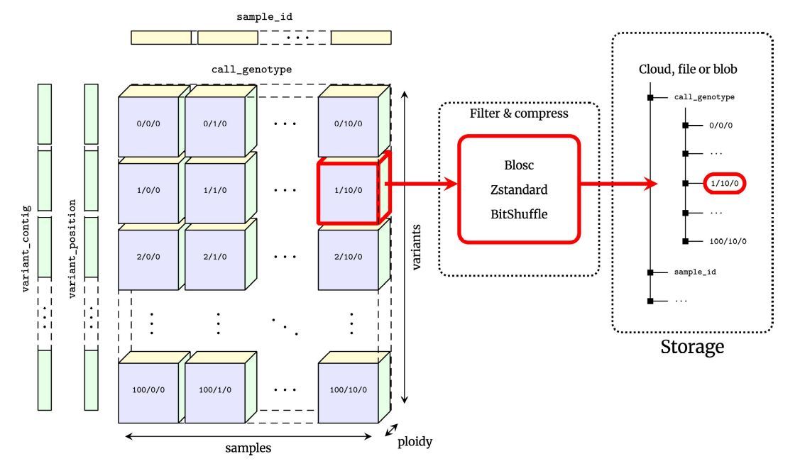 Javier Santoyo (@jsantoyo) on Twitter photo Analysis-ready VCF at Biobank scale using Zarr. #VCF #Zarr #GeneticVariants #Genomics #Bioinformatics <a href="/GigaScience/">GigaScience</a>
academic.oup.com/gigascience/ar… Analysis-ready VCF at Biobank scale using Zarr. #VCF #Zarr #GeneticVariants #Genomics #Bioinformatics <a href="/GigaScience/">GigaScience</a>
academic.oup.com/gigascience/ar…