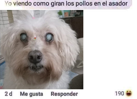 ANDRESFGS tweet media