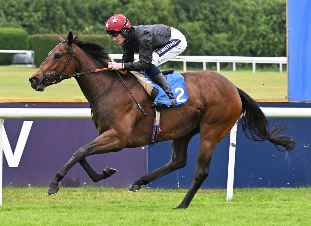 Some action shots from our Tuesday 27th May raceday! 😃🏇
