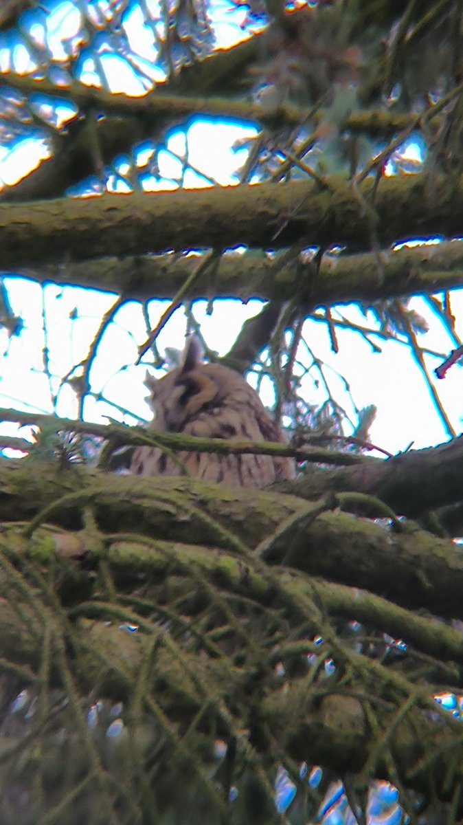 We've got some new neighbors. Mommy and her baby :D