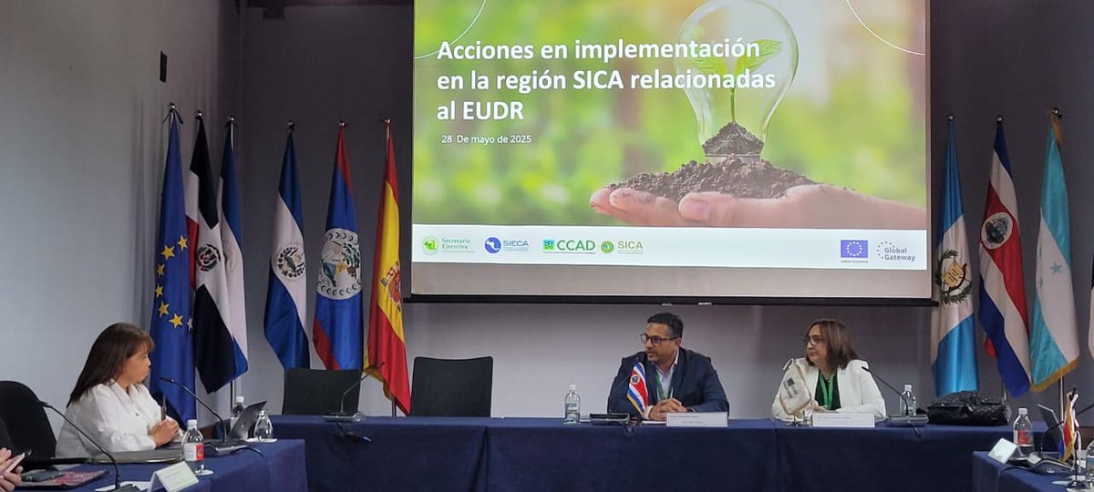 SE-CAC (@se_cac) on Twitter photo #SectorAgropecuario participó en sesión de trabajo grupo bosques <a href="/CCADSICA/">CCAD-SICA</a> construyendo hoja de ruta interinstitucional del #EUDR. Con el acompañamiento de #GIZ <a href="/UECentroamerica/">Unión Europea en Centroamérica</a> <a href="/el_BID/">Banco Interamericano de Desarrollo</a> <a href="/sg_sieca/">SIECA</a> <a href="/FAOMesoamerica/">FAO Mesoamérica</a> <a href="/lucreciarodri13/">lucrecia rodriguez</a>
#EUDR #colaboraciónregional #RegiónSICA #SectorAgropecuario participó en sesión de trabajo grupo bosques <a href="/CCADSICA/">CCAD-SICA</a> construyendo hoja de ruta interinstitucional del #EUDR. Con el acompañamiento de #GIZ <a href="/UECentroamerica/">Unión Europea en Centroamérica</a> <a href="/el_BID/">Banco Interamericano de Desarrollo</a> <a href="/sg_sieca/">SIECA</a> <a href="/FAOMesoamerica/">FAO Mesoamérica</a> <a href="/lucreciarodri13/">lucrecia rodriguez</a>
#EUDR #colaboraciónregional #RegiónSICA