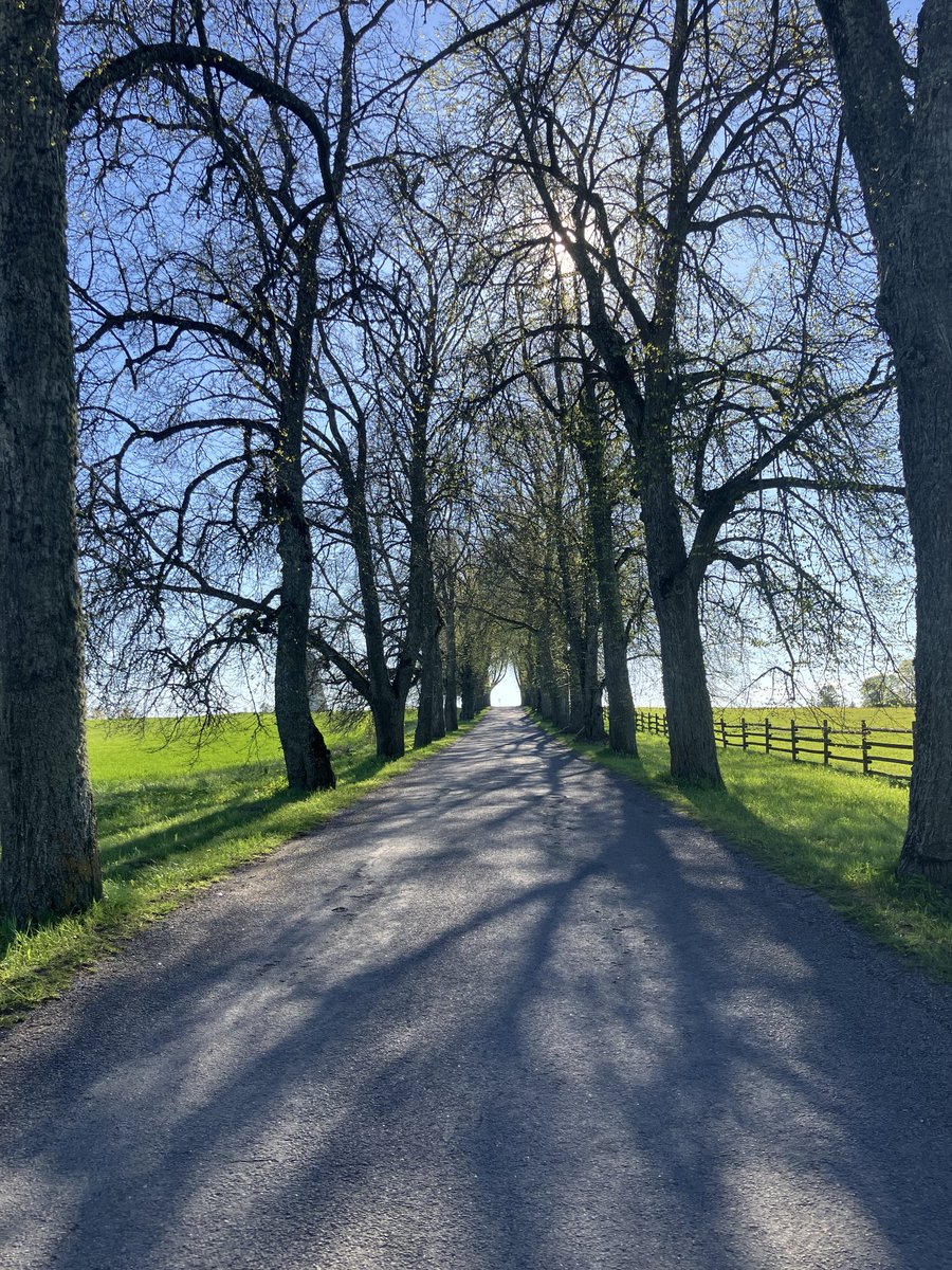 Vaellusmatka Virossa Lahemaan alueella - suosittelen👍 Maaseutu ja kylät kauniita, reitit selkeitä. Ihmisillä mutkaton tapaa hoitaa asioita. Hatunnosto tavalle, jolla ovat onnistuneet rakentamaan nykyaikaista yhteiskuntaa.