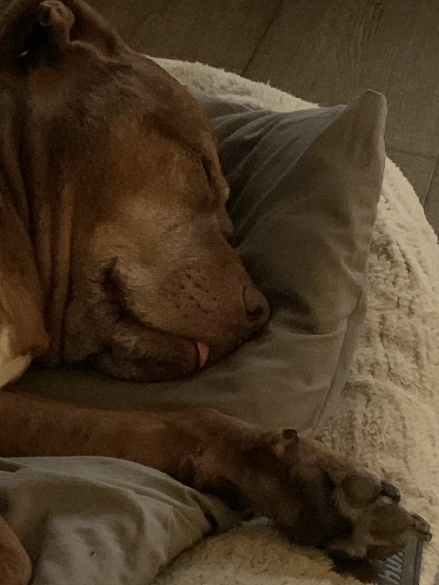 ⁦<a href="/Notlee34/">im a delight</a>⁩ my old boy😍