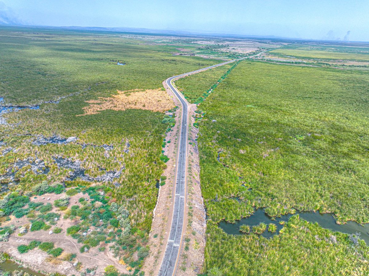 Awel Arba tweet media