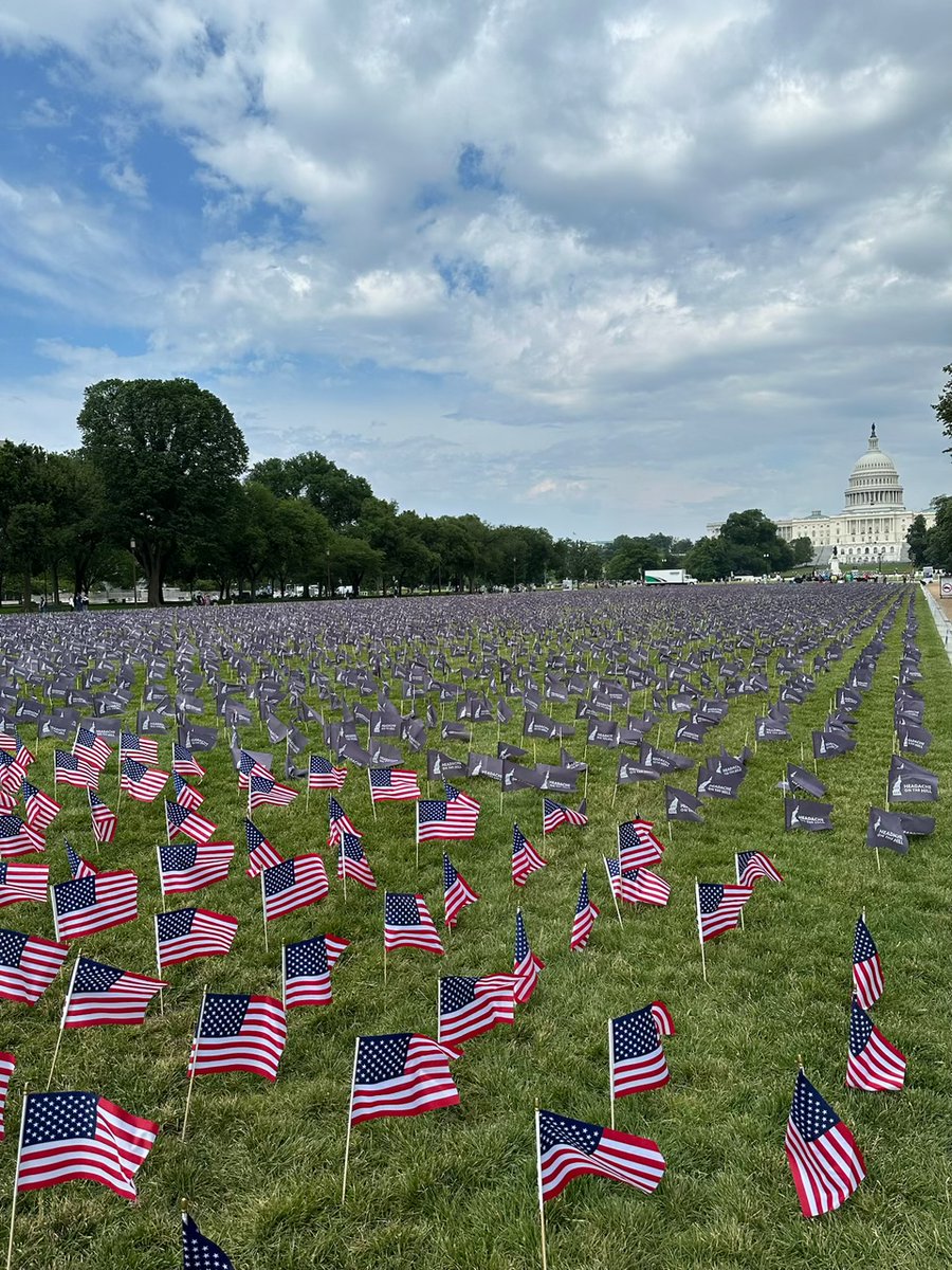 LundbeckUS's tweet photo. We joined @AHDAorg in D.C. to launch #Migraine &amp; Headache Awareness Month with 28K purple flags on the National Mall—each representing someone impacted by migraine disease. Join us in raising awareness &amp; ending stigma! #MHAM2025 #RaiseTheBarForMigraine https://t.co/NYfWQHrqFS