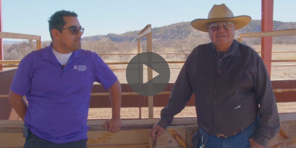 Many ranchers have limited access to large animal veterinarians. Tribal Extension connects ranchers to vets and Extension specialists for hands-on training and access to equipment so ranchers can manage emergencies and herd health.

Watch the video at bit.ly/3HsTJv2