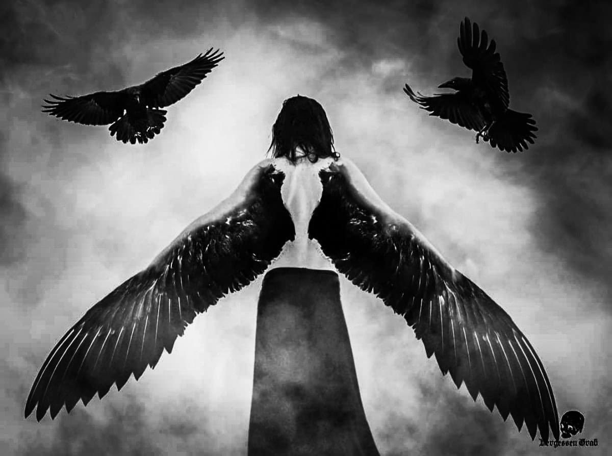 I'm long dead tweet media