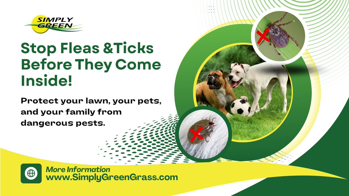 simplygreen_DE's tweet image. Stop fleas &amp;amp; ticks before they come inside! 🛑 Protect your lawn, pets &amp;amp; family. Book 4+ treatments, get 1 FREE! 🌿 (302) 256-0829 simplygreengrass.com #FleaAndTickControl #SafeBackyard #SimplyGreenLawnCare
