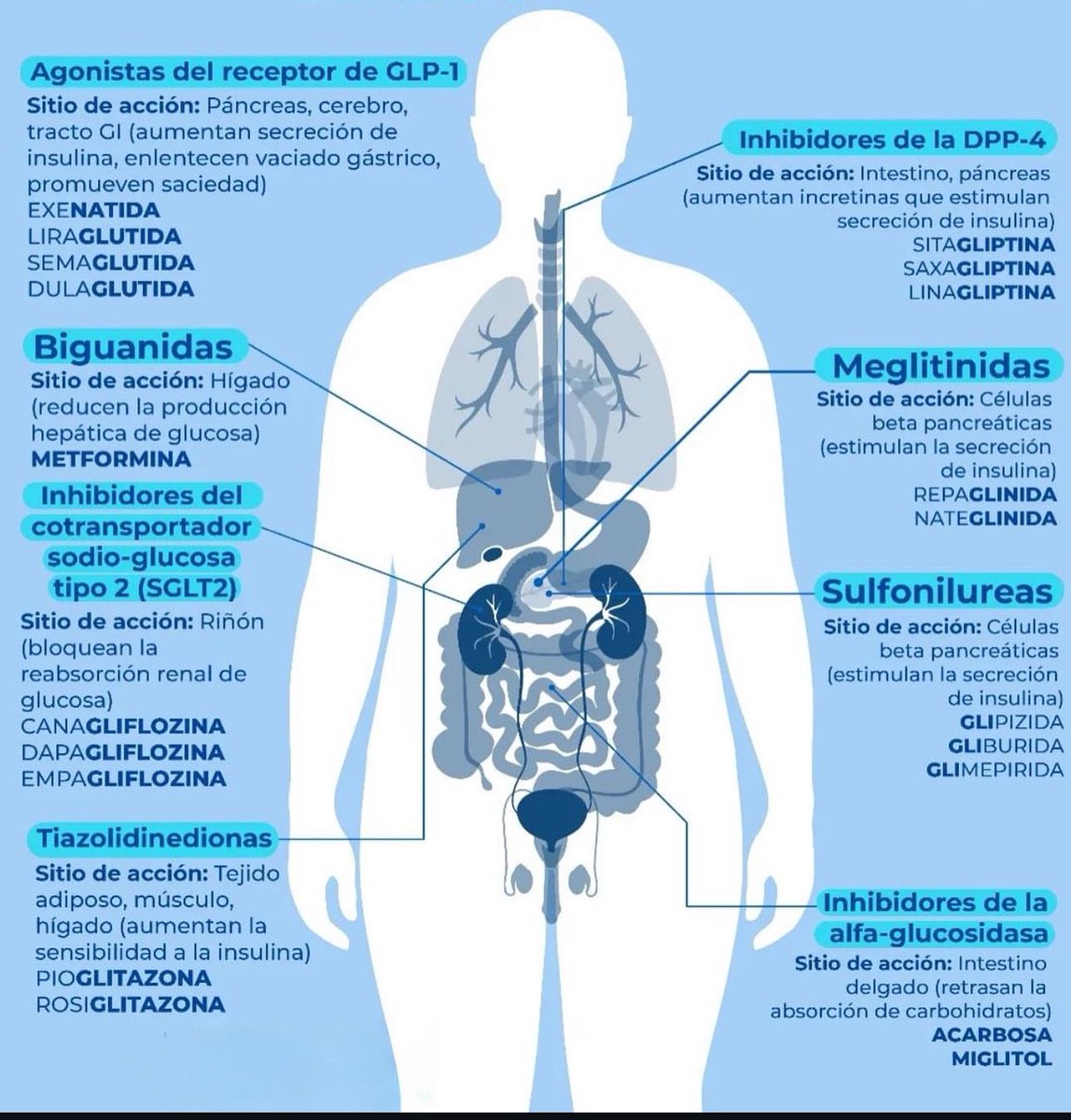 ENARM_intensivo's tweet photo. 💢ANTIDIABÉTICOS  ORALES
#ENARM_INTENSIVO https://t.co/xrWKdCpAzd