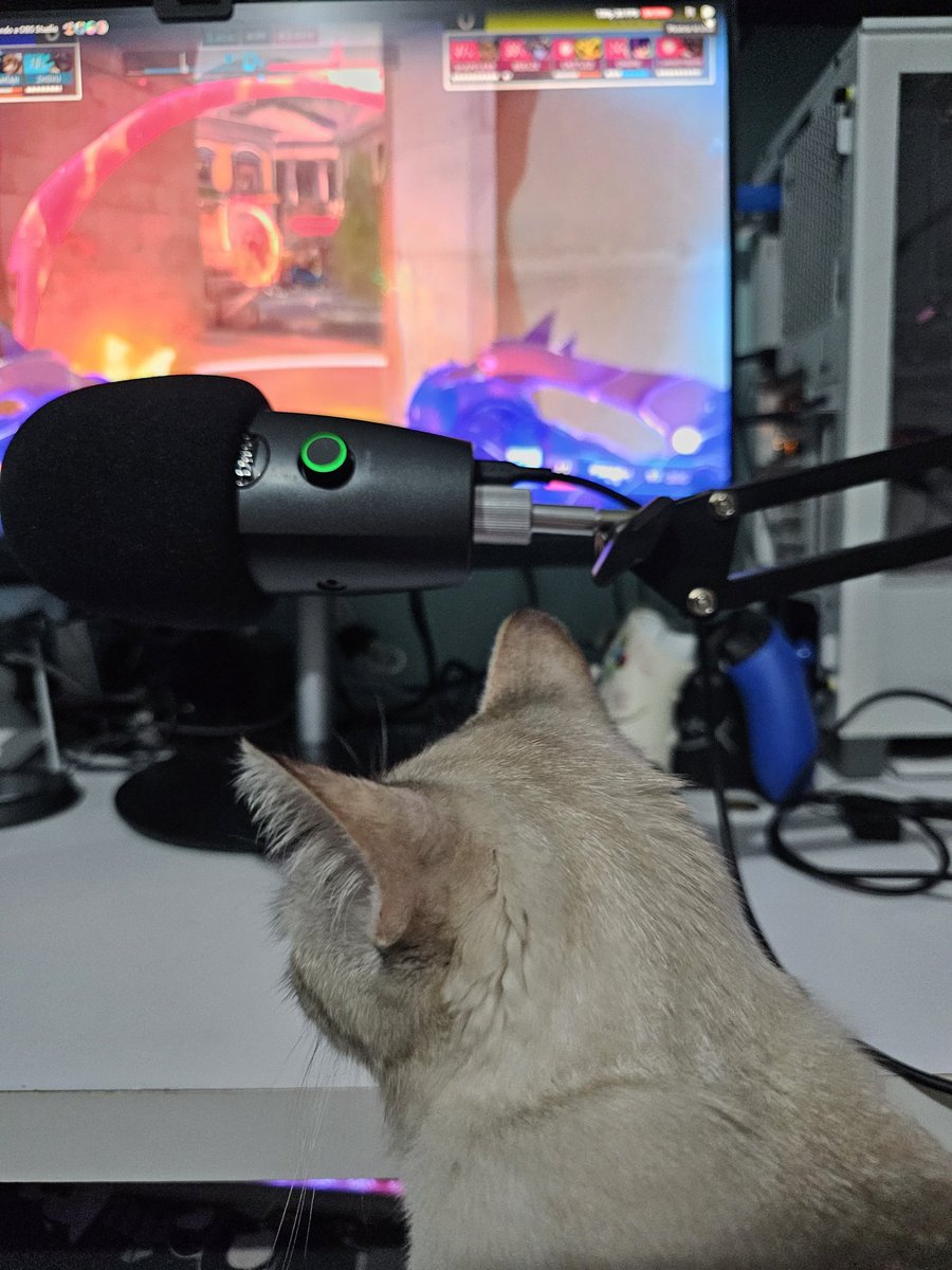 AjoloteSenpai's tweet photo. Tenemos nueva caster en @StarLegendsEs @OficialNovacast https://t.co/ObRioWI3pG