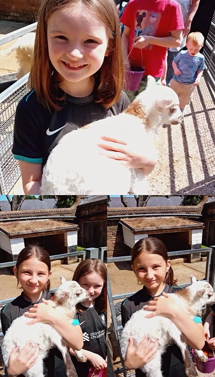 CScott23x's tweet photo. Not our usual Monday β₯οΈ We love half term! #farmday #familytime https://t.co/nvpQ769vPN