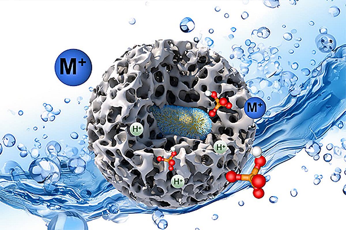 🧫Scientists have discovered a way to control tiny contaminants in nanopores, leading to cleaner #water, better carbon storage, and improved catalysts. ow.ly/Jrkh30sMXbf

Did you know BC has research and innovation experts? PM me to learn more!