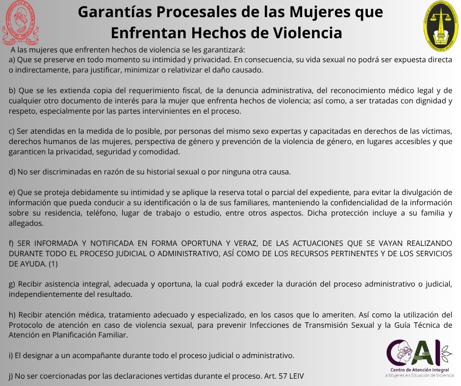 CAI_sv's tweet photo. Garantías Procesales de las Mujeres que Enfrentan Hechos de Violencia #tiposdeviolencia #violenciadegenero #GarantiasProcesales https://t.co/dsOnLIefa2
