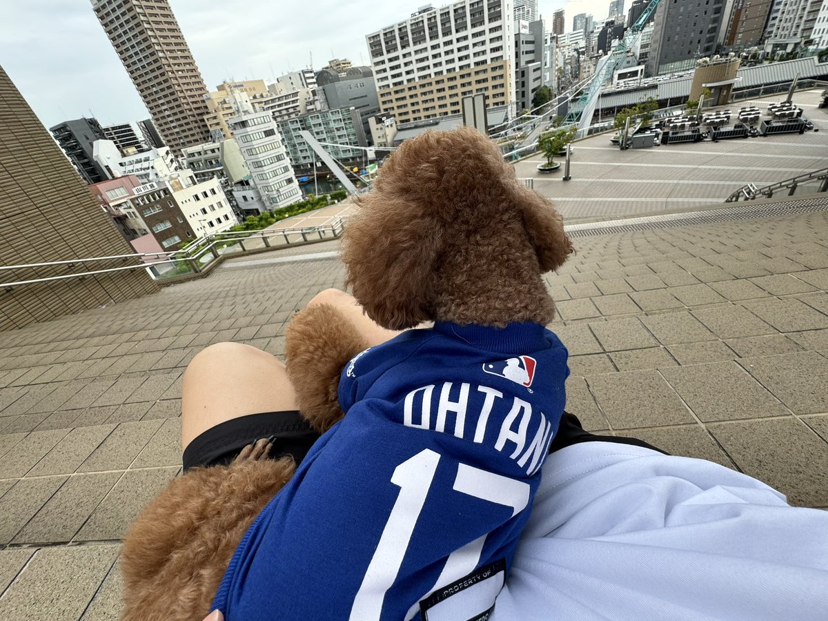 RIRU0227_'s tweet photo. #大谷翔平
#トイプタニ翔平

#大谷翔平ホームラン予告 https://t.co/1wNfUO966a