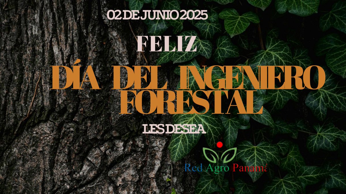 En Panamá, el Día Nacional del Ingeniero Forestal se celebra el 2 de junio, según la Ley 427 del 26 de febrero de 2024. Esta fecha se ha establecido para conmemorar y reconocer la labor de los ingenieros forestales en la conservación y manejo de los recursos forestales del país.