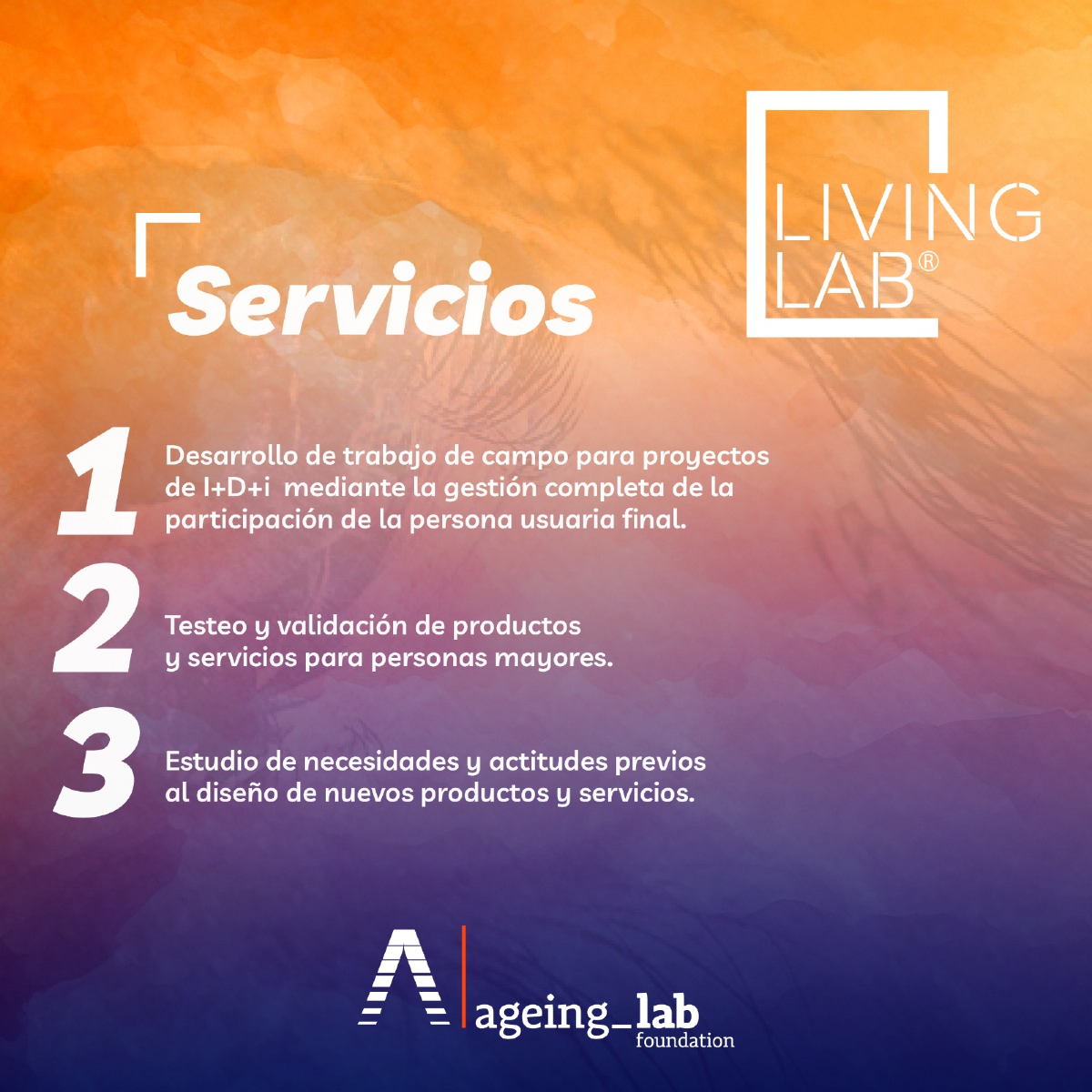 👨🏻‍🦳​👩🏻‍🦳​🤝🏻​Desde #AgeingLab, te ofrecemos diversos servicios siempre relacionados con el reto del envejecimiento y sobre la transferencia de conocimiento.

🌐Puedes ampliar toda la información en: ​ageinglab.org/pricing/

#Envejecimiento #Desarrollo #Innovación