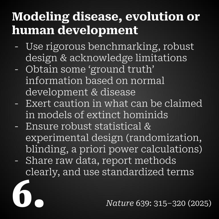 Sergiu P. Pasca (@sergiu_p_pasca) on Twitter photo 